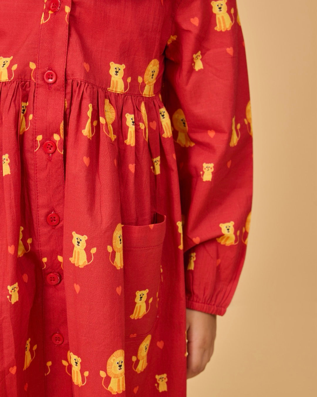 Lion Family Kids Schiffli Collar Frock